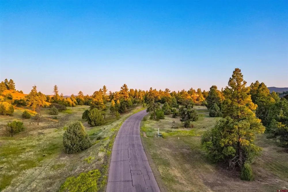 350 Bristlecone Drive Pagosa Springs, CO 81147
