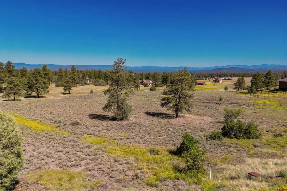 350 Bristlecone Drive Pagosa Springs, CO 81147