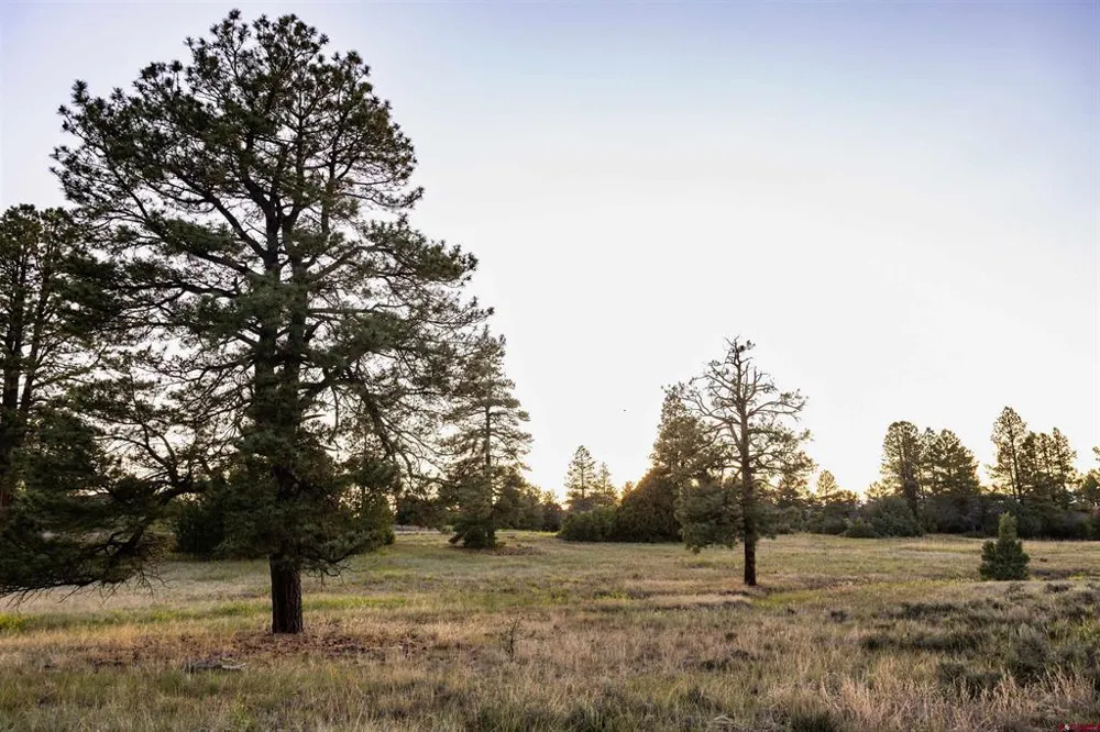 350 Bristlecone Drive Pagosa Springs, CO 81147