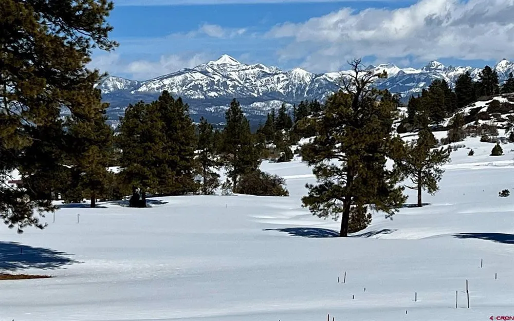 350 Bristlecone Drive Pagosa Springs, CO 81147