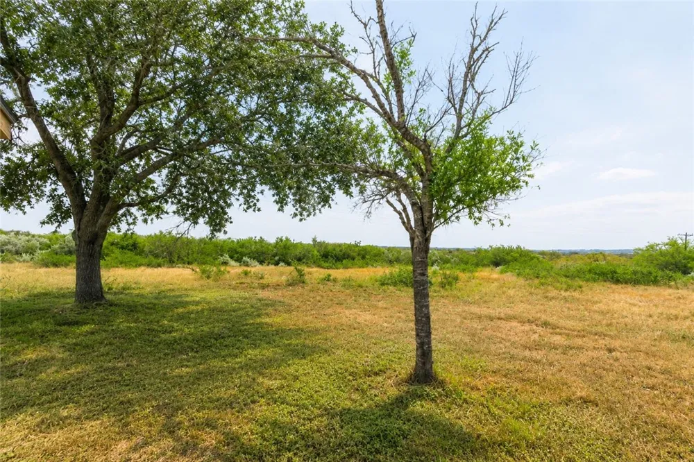 435 County Road 369 Sandia, TX 78383