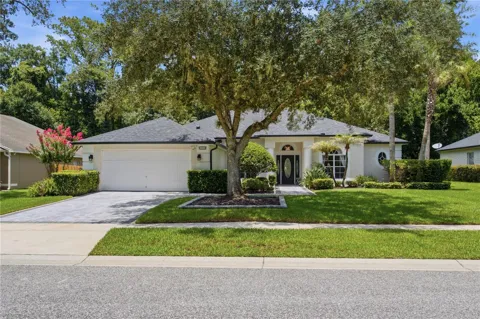223 BLUE CREEK DRIVE