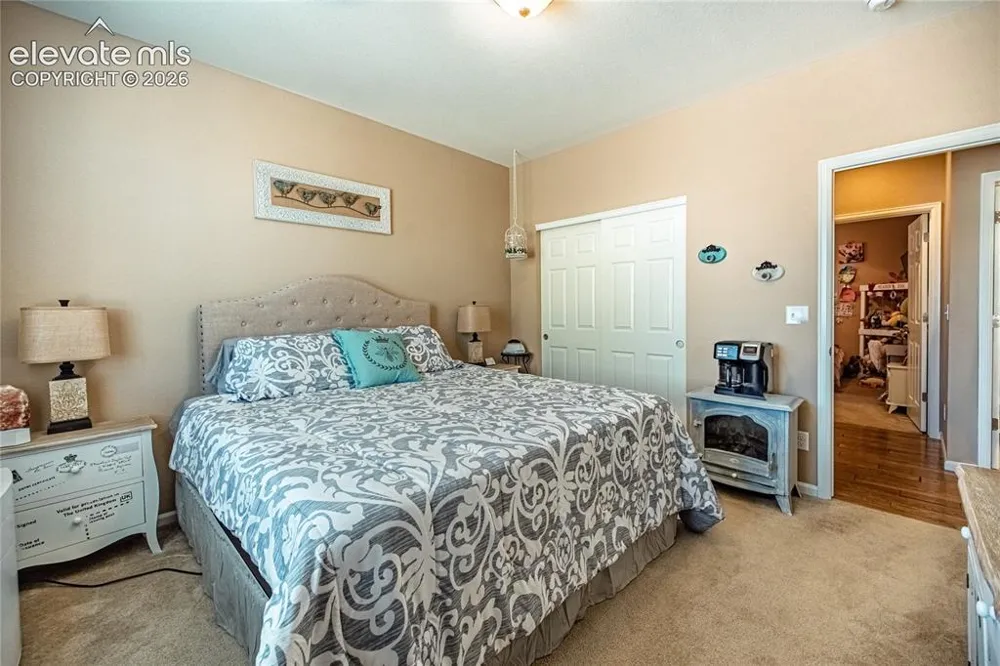 10713 Torreys Peak Way Peyton, CO 80831