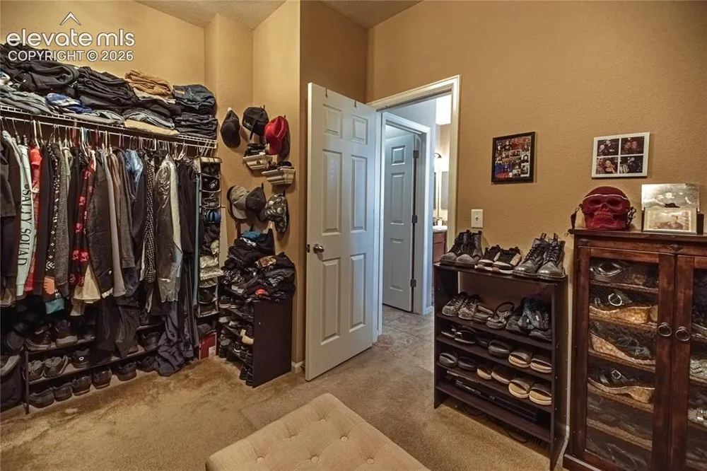 10713 Torreys Peak Way Peyton, CO 80831
