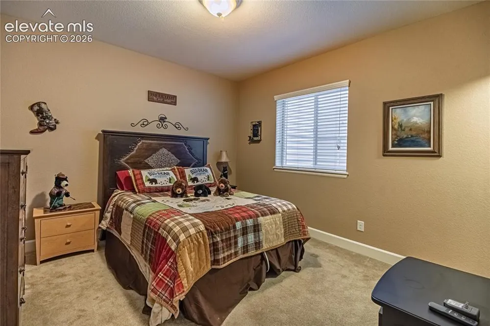 10713 Torreys Peak Way Peyton, CO 80831