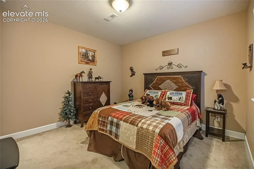 10713 Torreys Peak Way Peyton, CO 80831