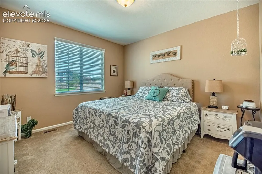 10713 Torreys Peak Way Peyton, CO 80831