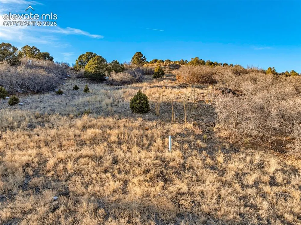 303 Peak View Place Canon City, CO 81212