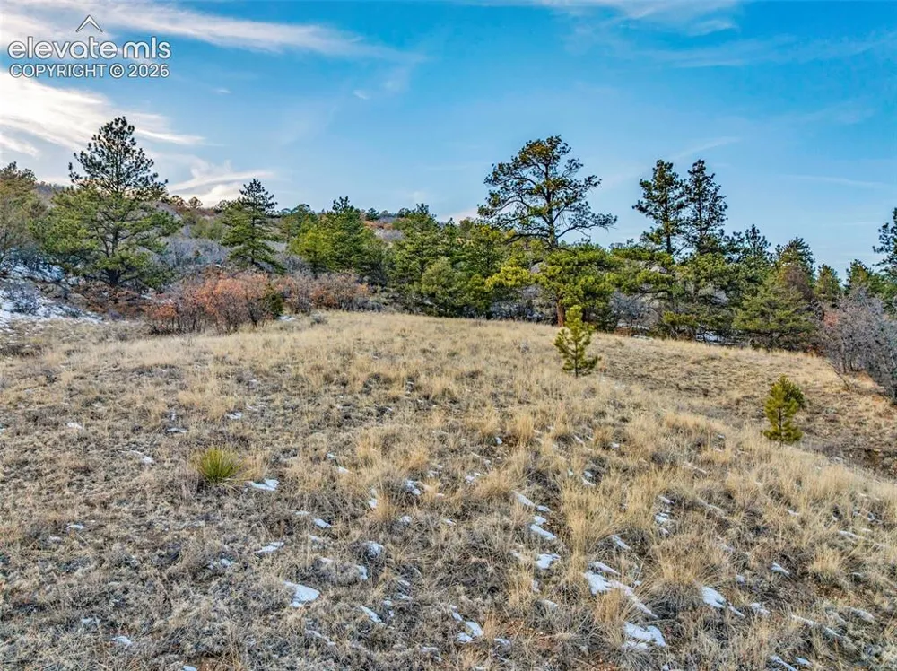 Taylor Trail Canon City, CO 81212