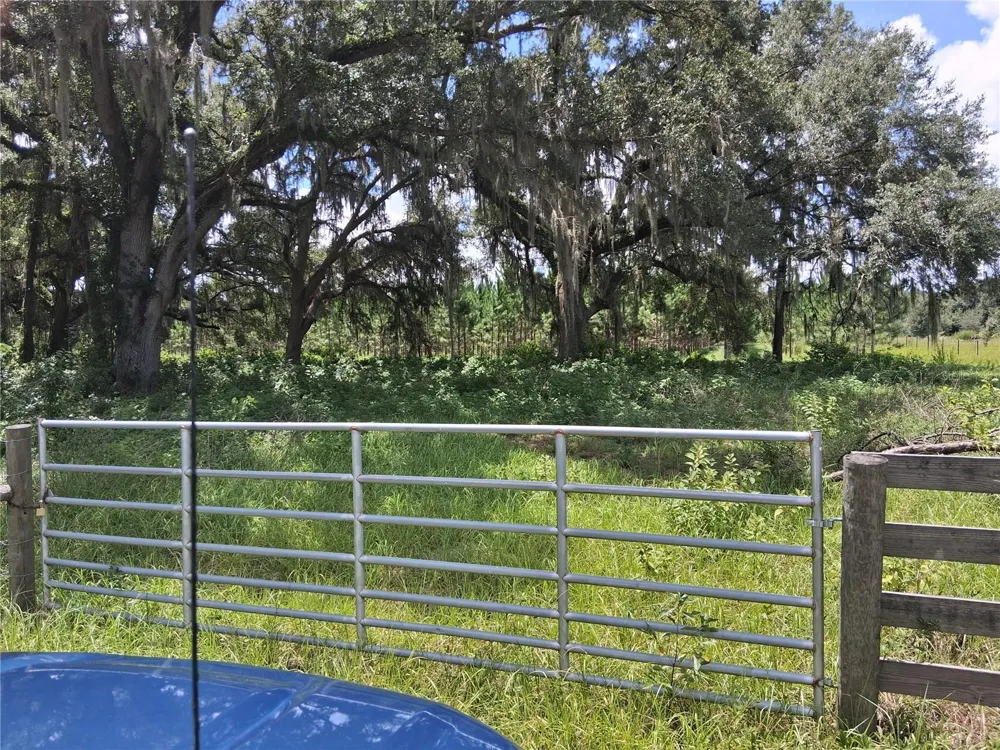 409 COUNTY ROAD 542E Bushnell, FL 33513