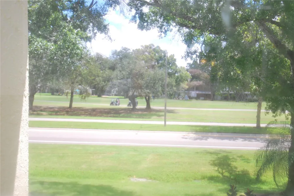 212 CARYL WAY #212 Oldsmar, FL 34677