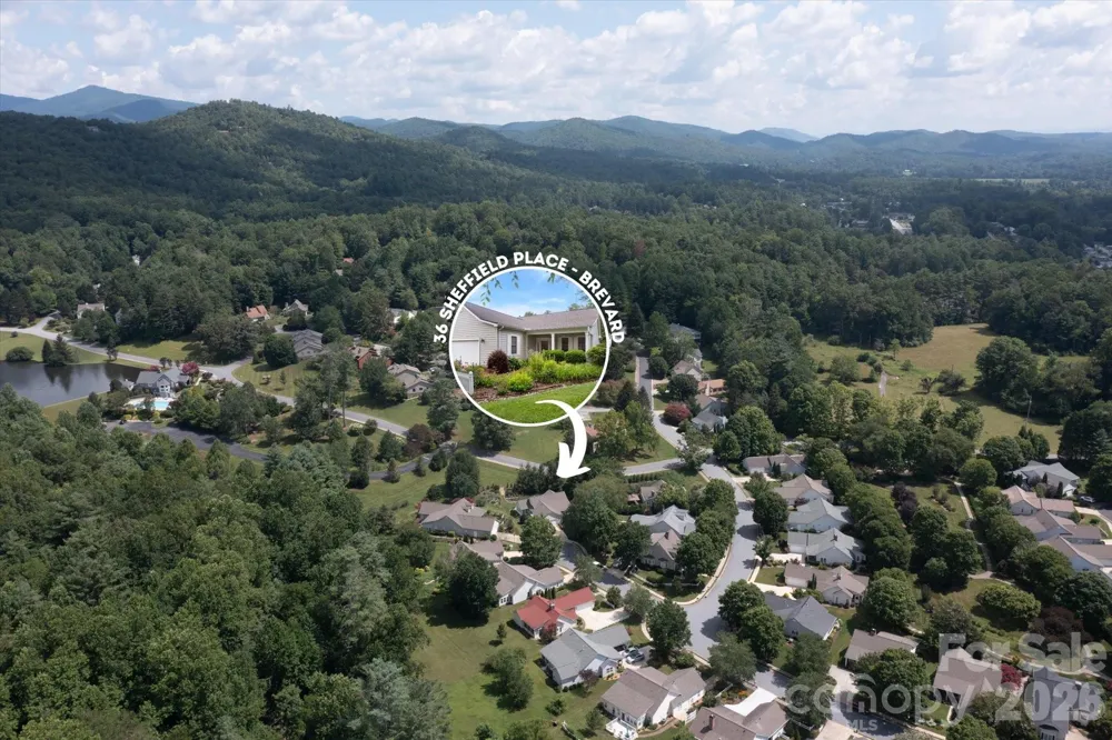 36 Sheffield Place Brevard, NC 28712