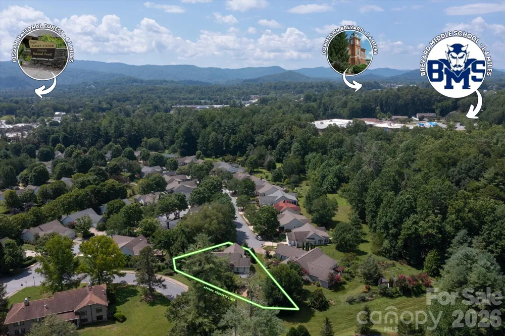 36 Sheffield Place Brevard, NC 28712