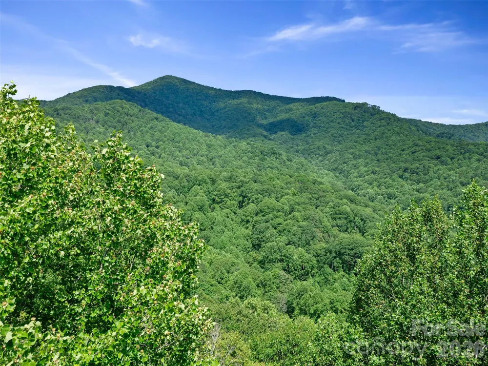 0 Lotties Creek Road Burnsville, NC 28714