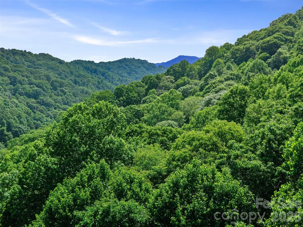 0 Lotties Creek Road Burnsville, NC 28714