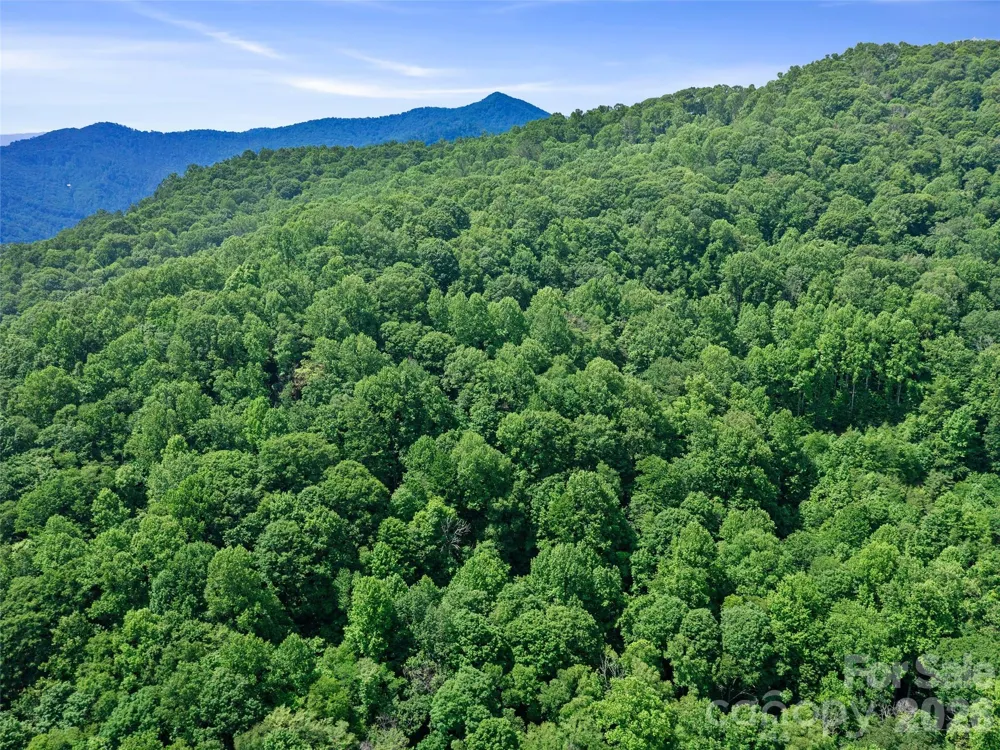 0 Lotties Creek Road Burnsville, NC 28714