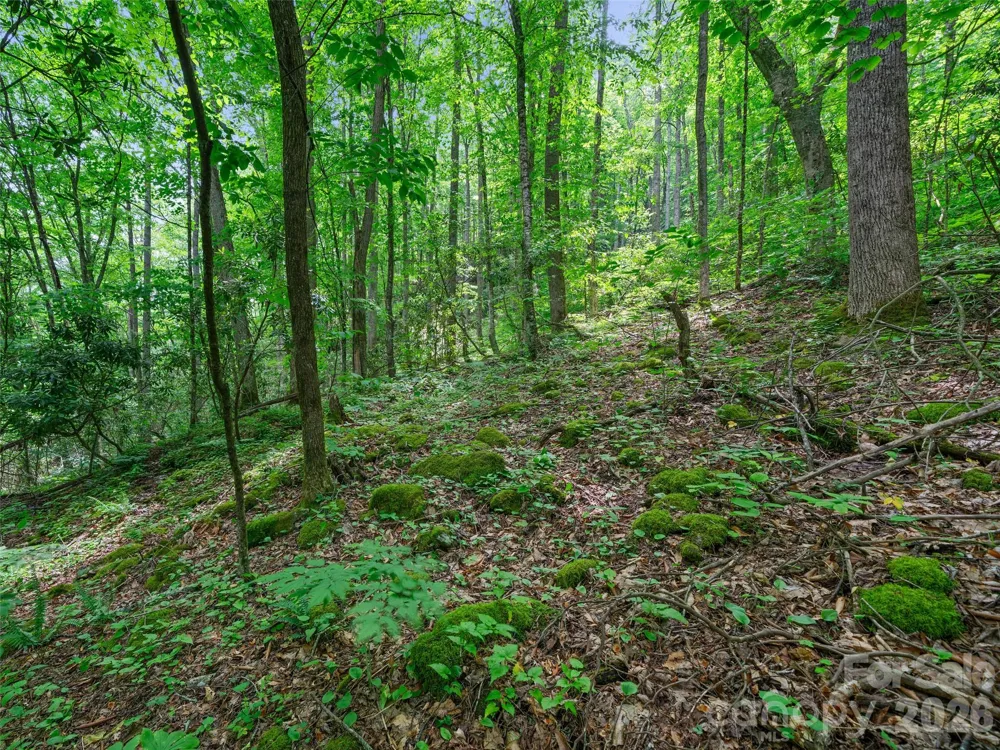 0 Lotties Creek Road Burnsville, NC 28714