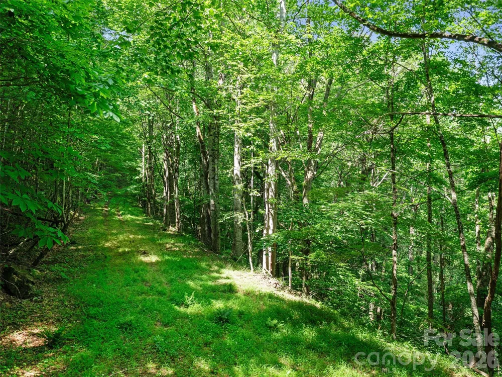 0 Lotties Creek Road Burnsville, NC 28714