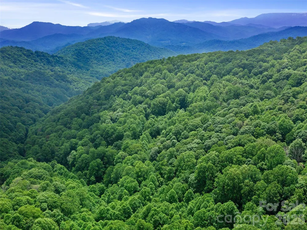 0 Lotties Creek Road Burnsville, NC 28714