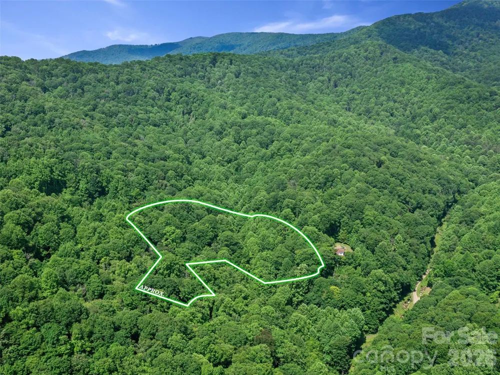 0 Lotties Creek Road Burnsville, NC 28714