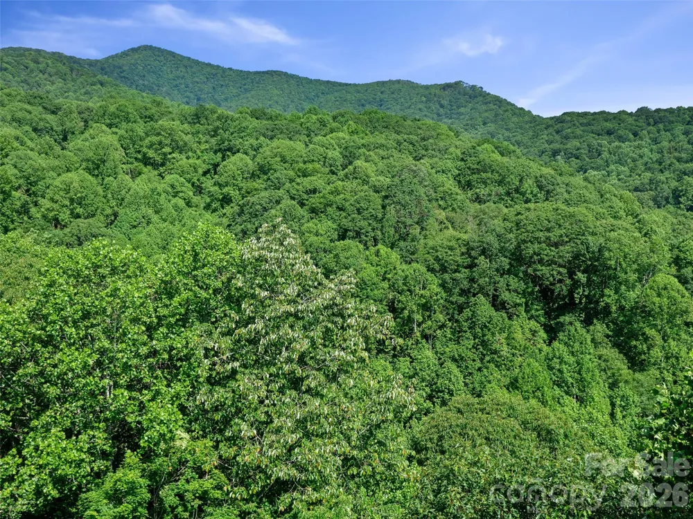 0 Lotties Creek Road Burnsville, NC 28714