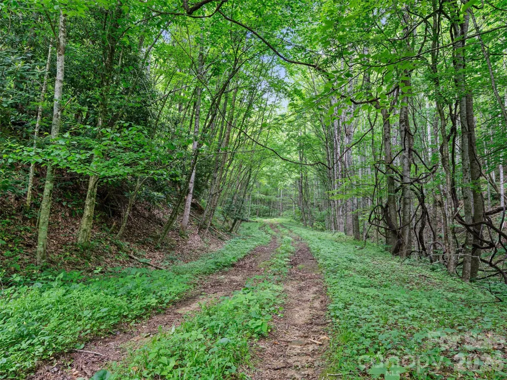 0 Lotties Creek Road Burnsville, NC 28714