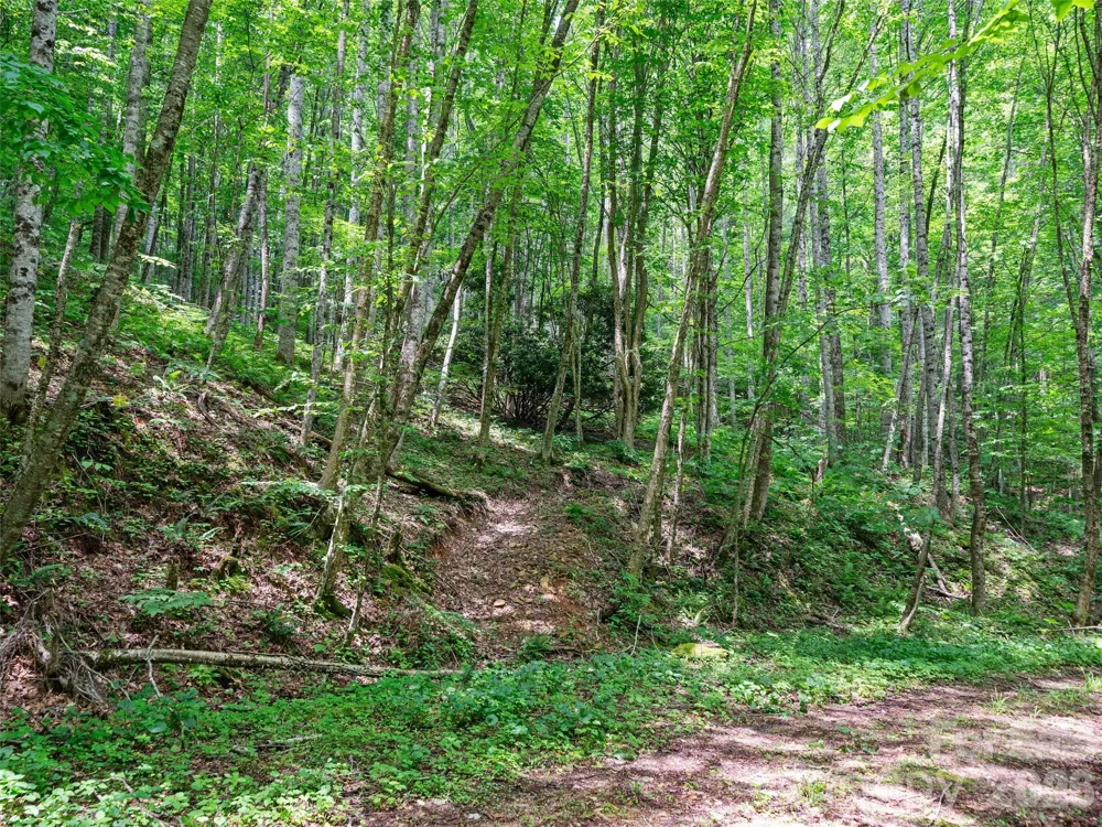 0 Lotties Creek Road Burnsville, NC 28714
