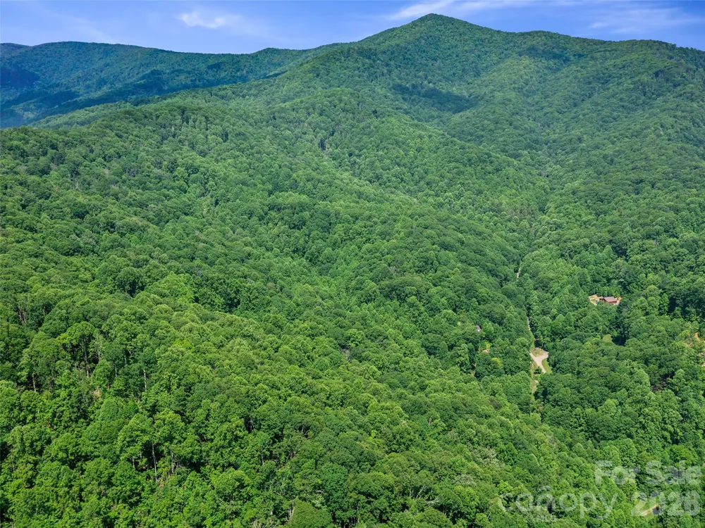 0 Lotties Creek Road Burnsville, NC 28714