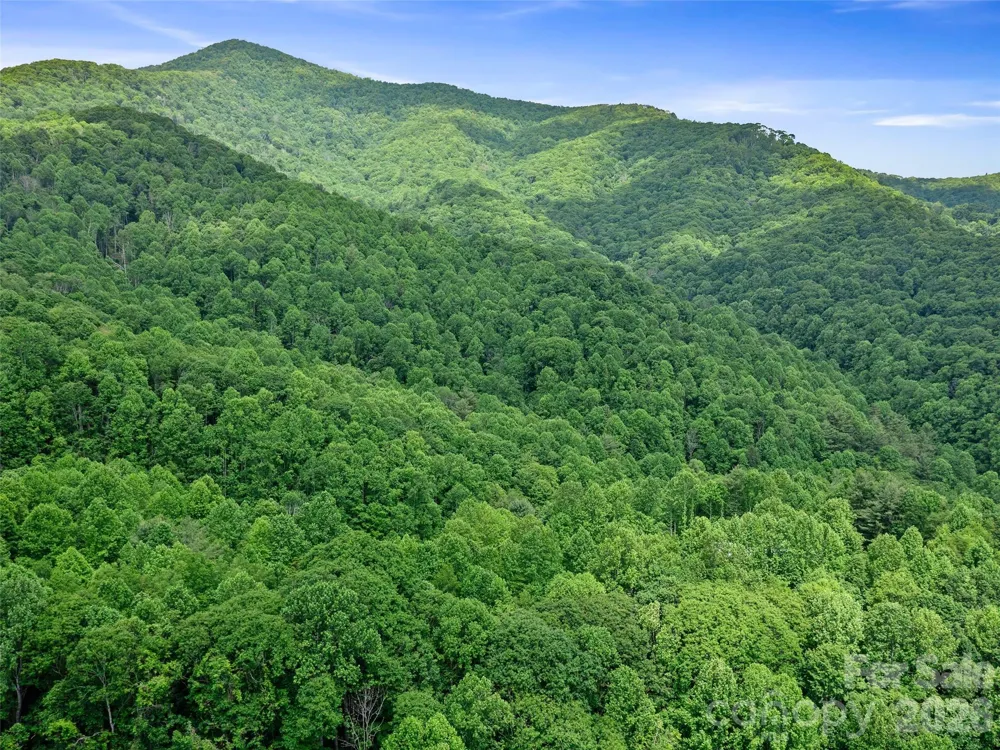 0 Lotties Creek Road Burnsville, NC 28714