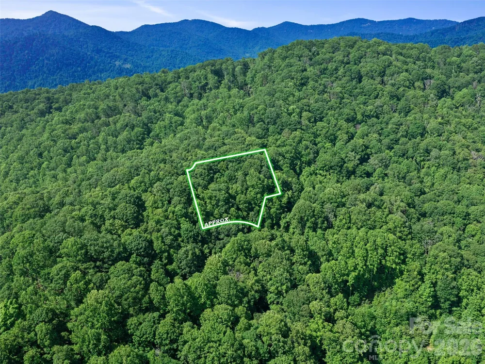0 Lotties Creek Road Burnsville, NC 28714
