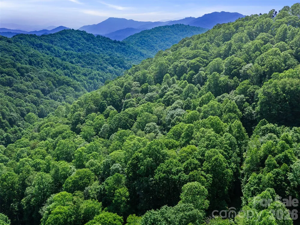 0 Lotties Creek Road Burnsville, NC 28714