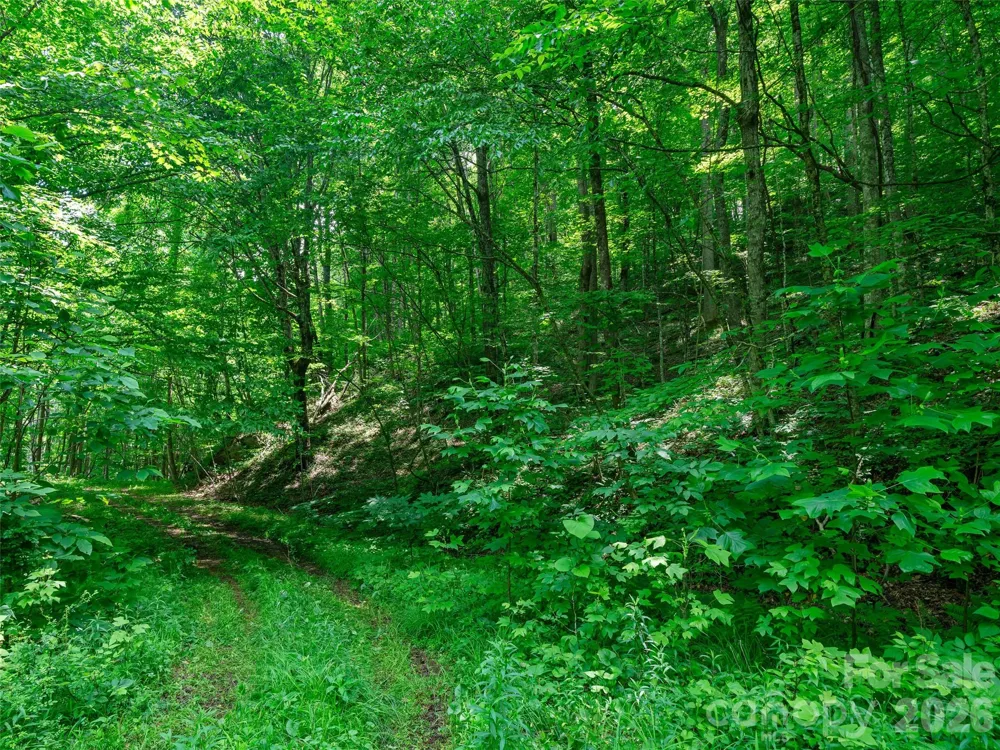 0 Lotties Creek Road Burnsville, NC 28714