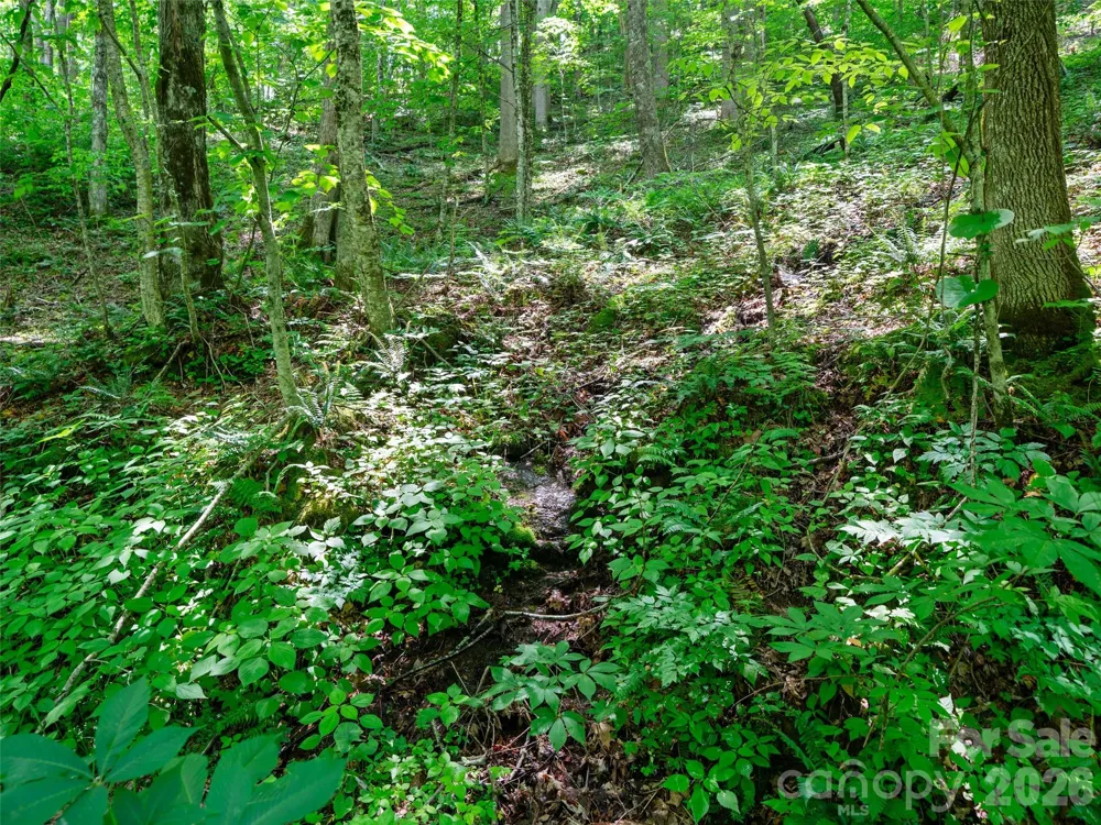 0 Lotties Creek Road Burnsville, NC 28714