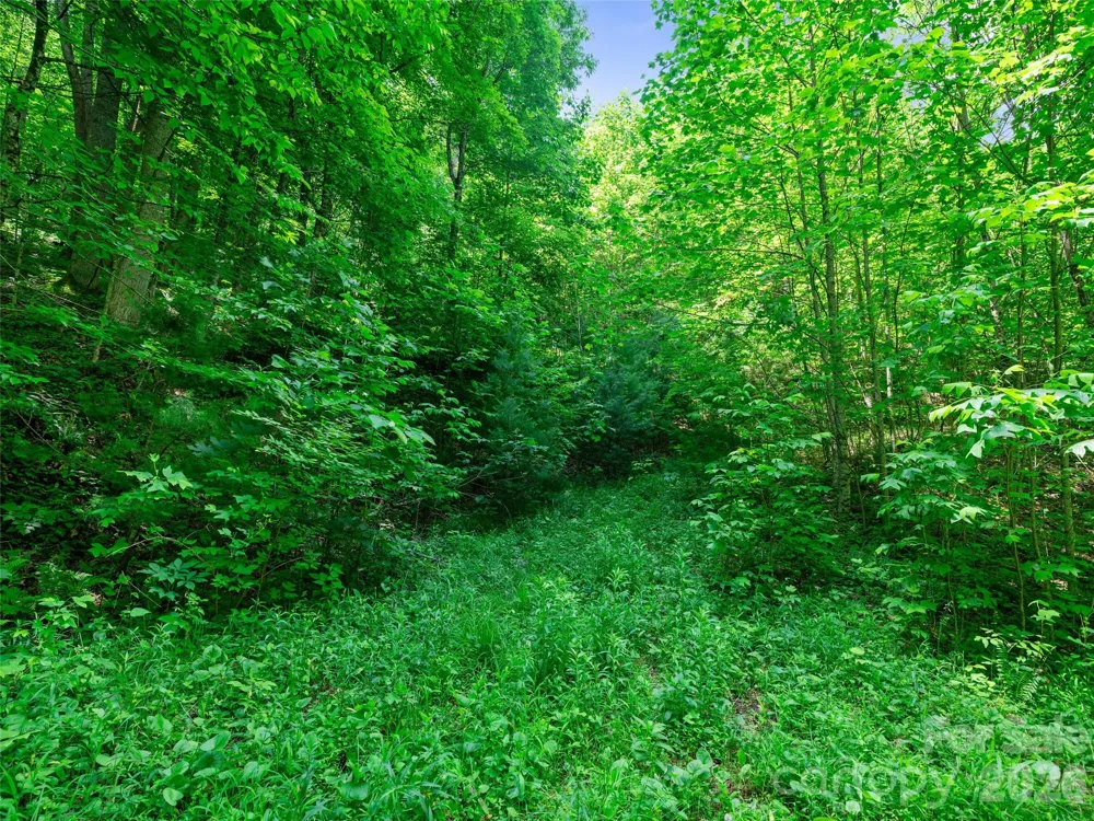 0 Lotties Creek Road Burnsville, NC 28714