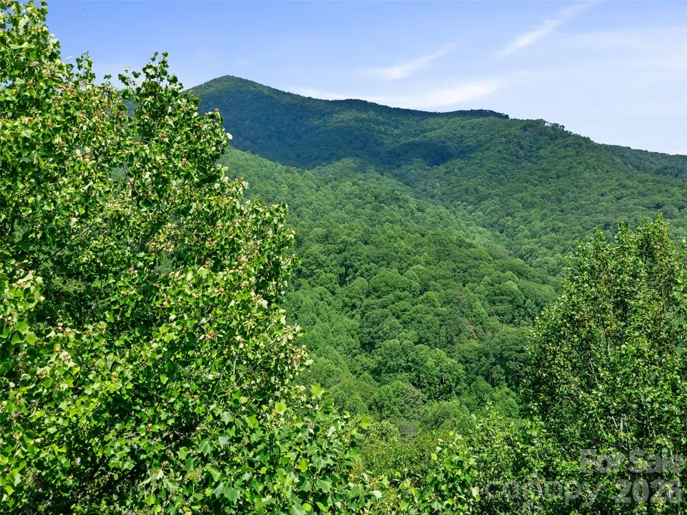0 Lotties Creek Road Burnsville, NC 28714