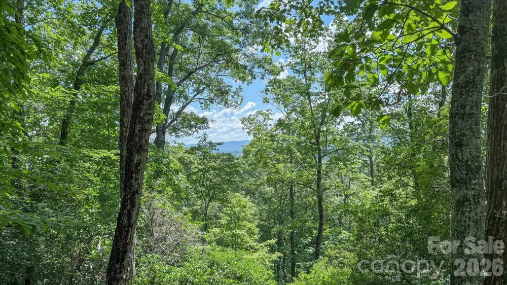 TBD Stone Drive #L40 Brevard, NC 28712