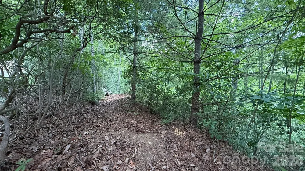 TBD Stone Drive #L40 Brevard, NC 28712
