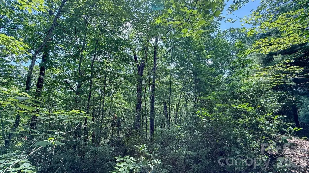 TBD Stone Drive #L40 Brevard, NC 28712