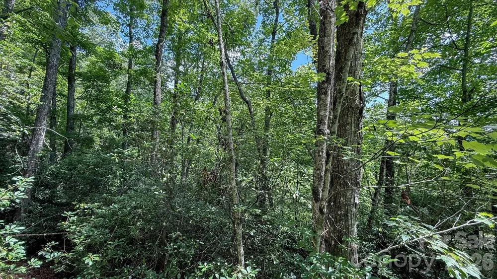 TBD Stone Drive #L40 Brevard, NC 28712