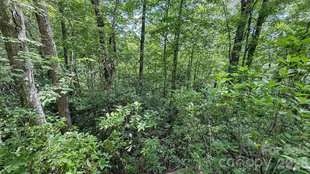 TBD Stone Drive #L40 Brevard, NC 28712