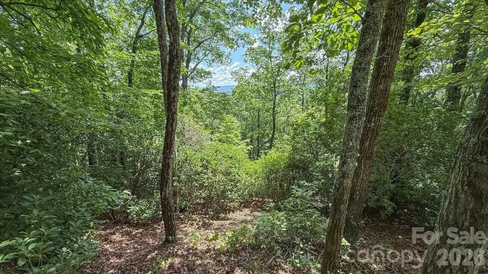 TBD Stone Drive #L40 Brevard, NC 28712