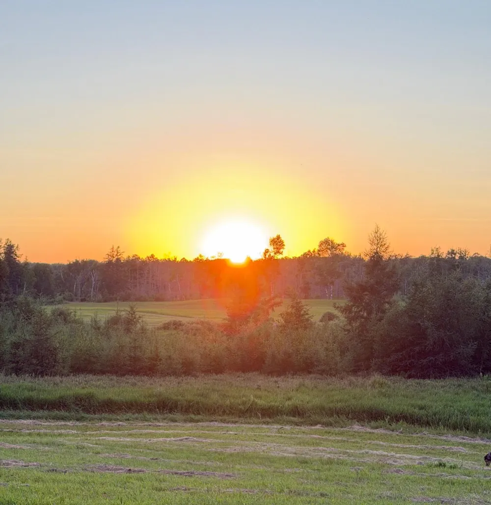 68611 Fleming Road Bruno, MN 55712