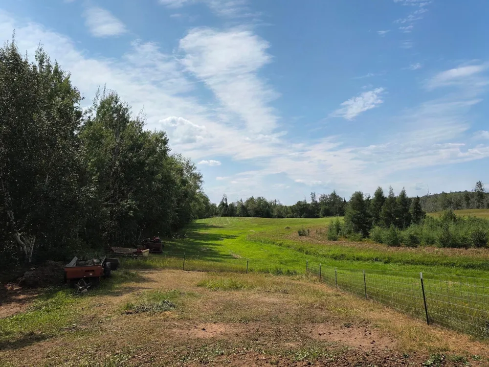 68611 Fleming Road Bruno, MN 55712