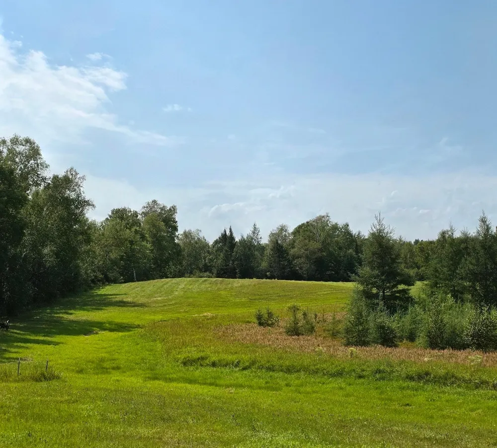 68611 Fleming Road Bruno, MN 55712