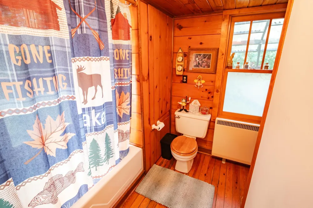 1922 Vellieux Island International Falls, MN 56649