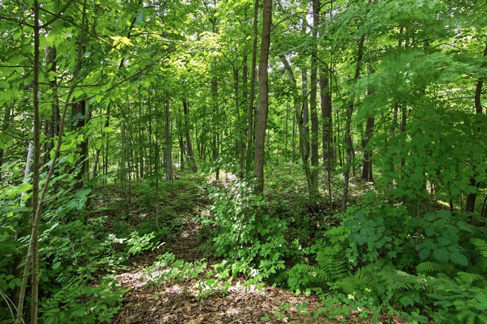 1314N County Hwy F Birchwood, WI 54817