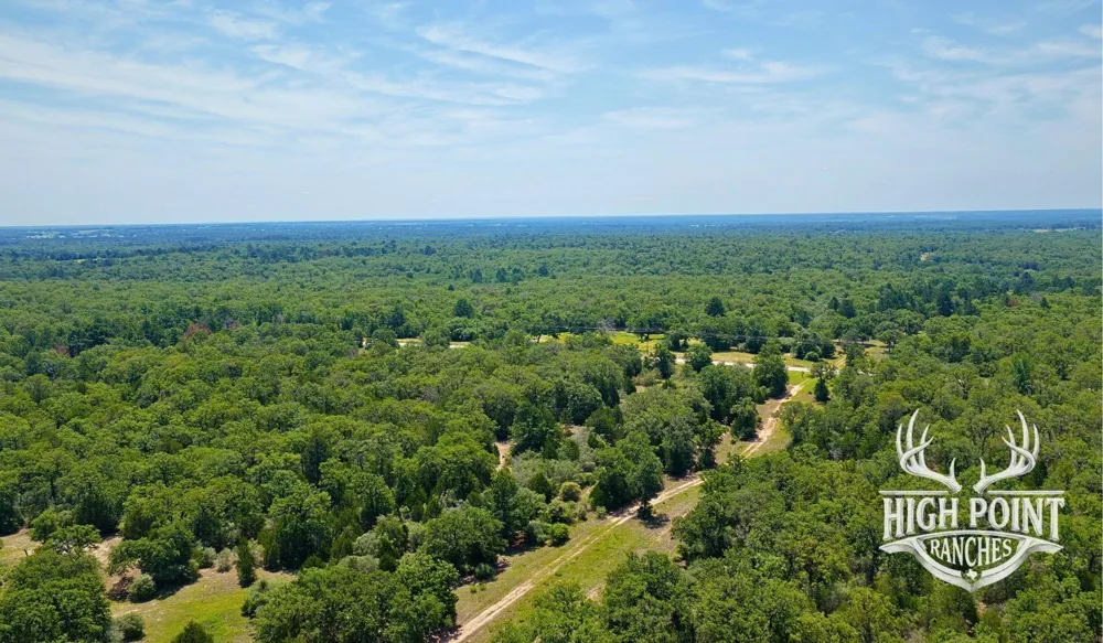 Ranch Road Off Cr 405 - 60 Acres Lexington, TX 78947
