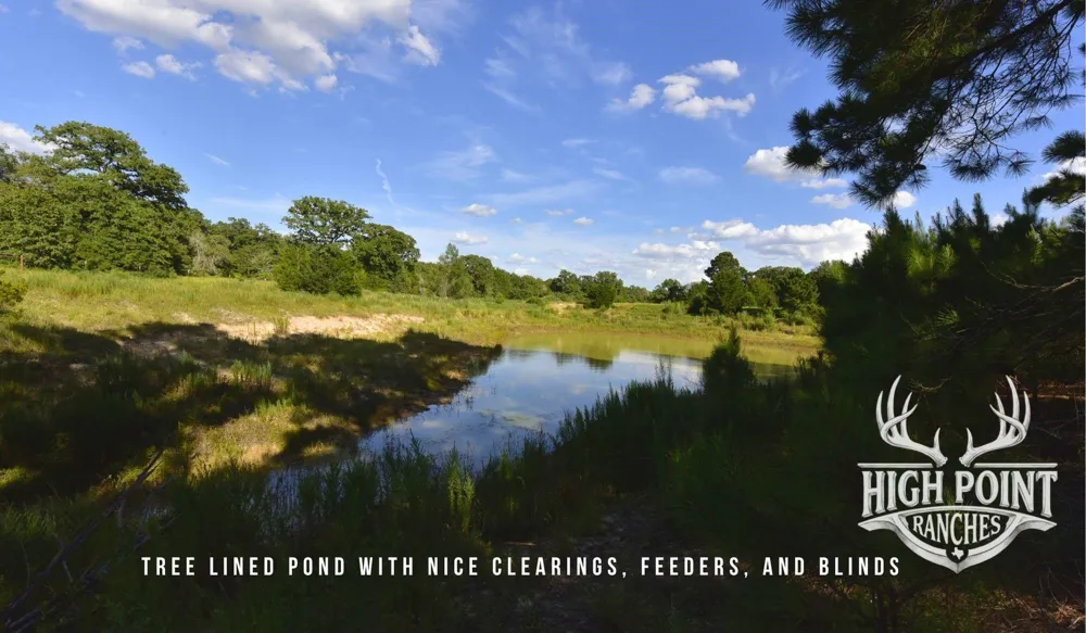Ranch Road Off Cr 405 - 60 Acres Lexington, TX 78947