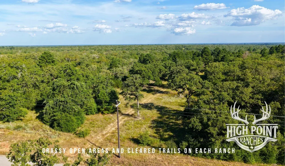 Ranch Road Off Cr 405 - 60 Acres Lexington, TX 78947