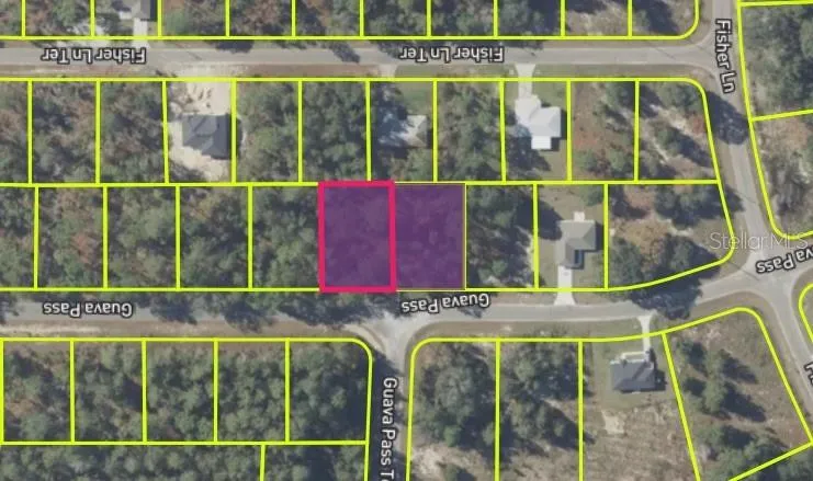 9037-1222-05 Ocklawaha, FL 32179